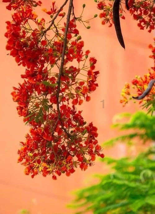 算术消消乐
